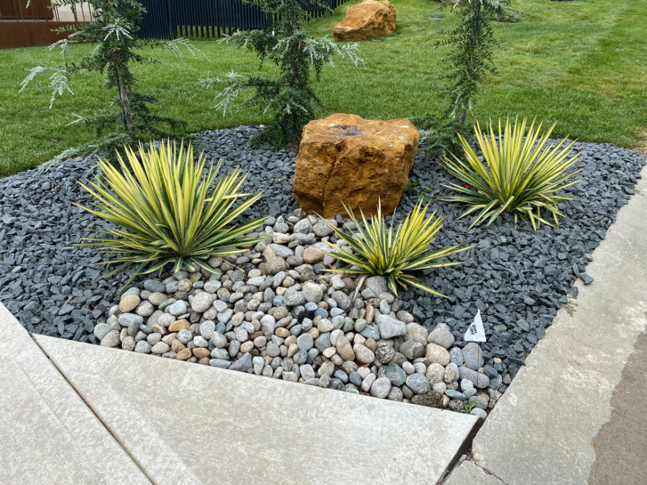 Black Granite landscape gravel combined with pointed shrubs, a brown boulder, and gray cobblestone for contrast