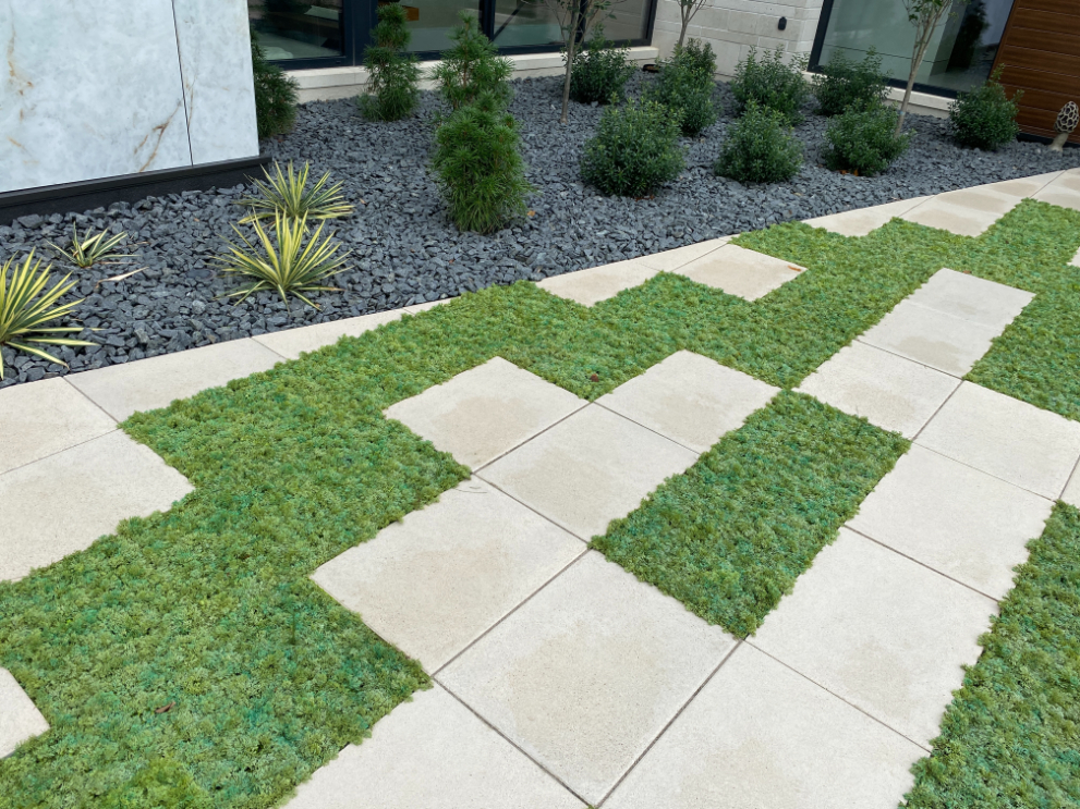 Black Granite decorative landscape gravel used in a planting bed in a modern landscape design with light gray pavers and turf surround located in Kansas City
