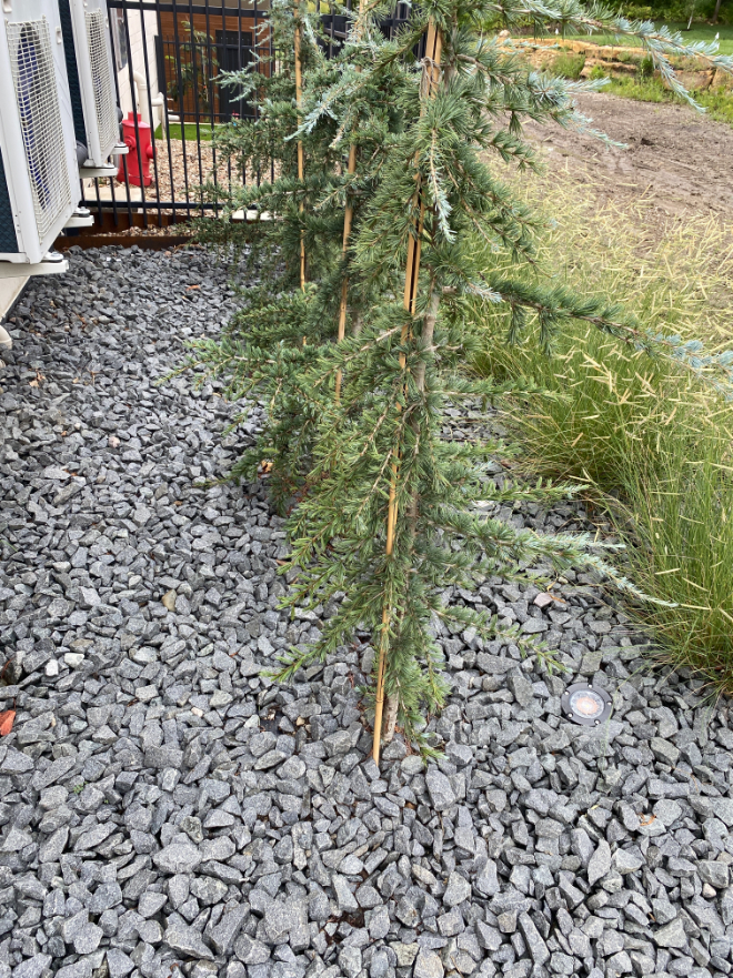 Black Granite landscaping gravel in a planter bed located in Kansas City