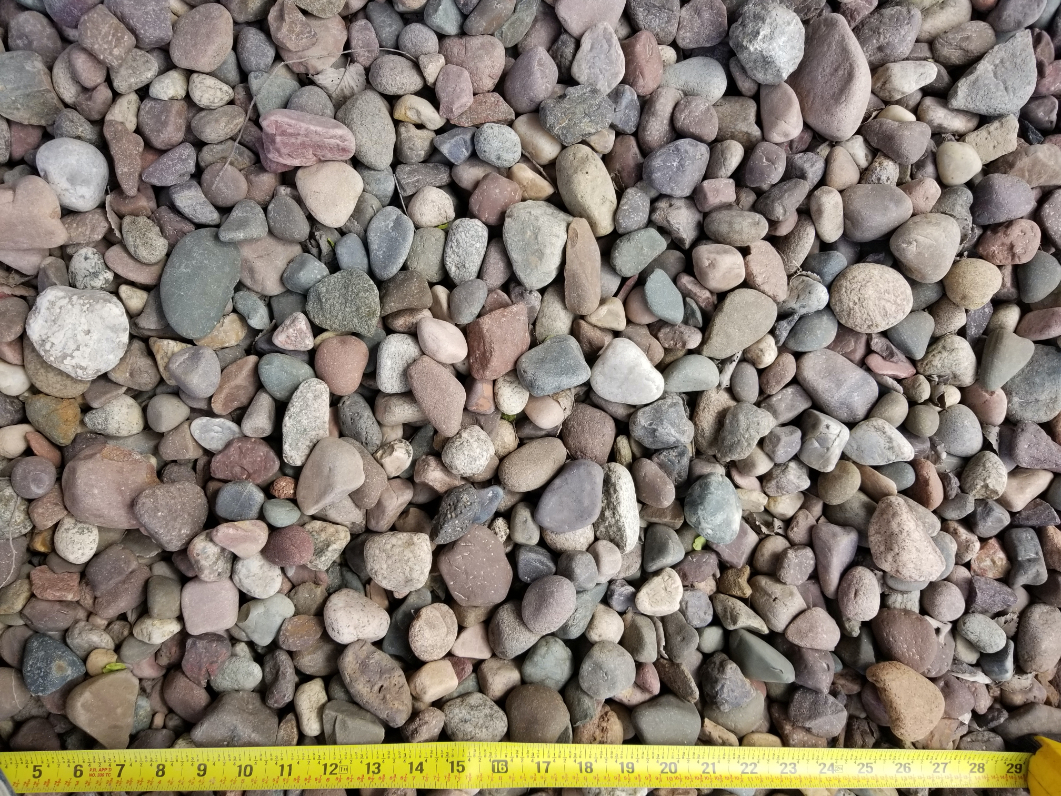 Close up photo of Eau Claire river rock with a ruler for size reference