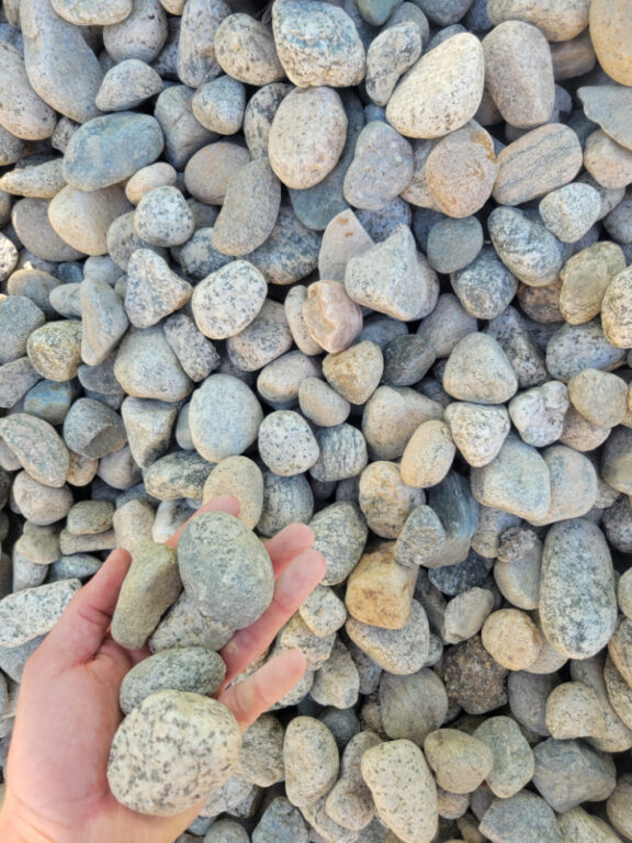 1-2" Gray Cobblestone in the palm of a hand