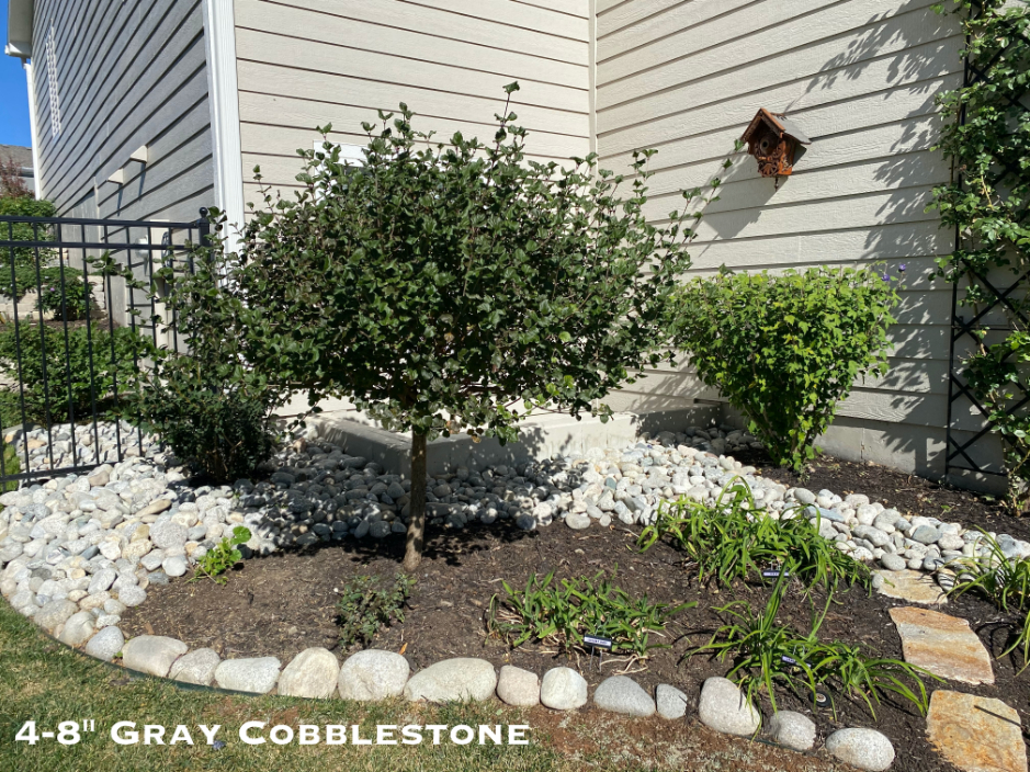 Gray Cobblestone used in a landscape bed and as an edging stone surrounded by bushes located in Kansas City