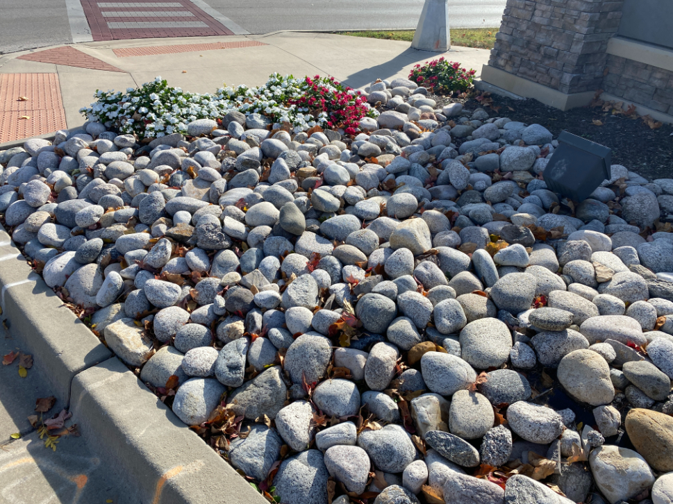 Gray cobblestone in a landscape bed in sunlight