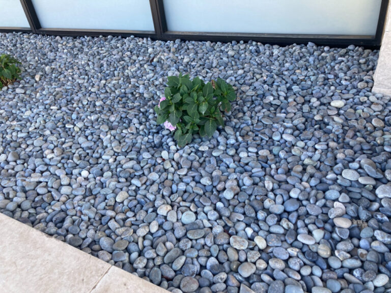 Mexican beach pebbles in a landscape bed