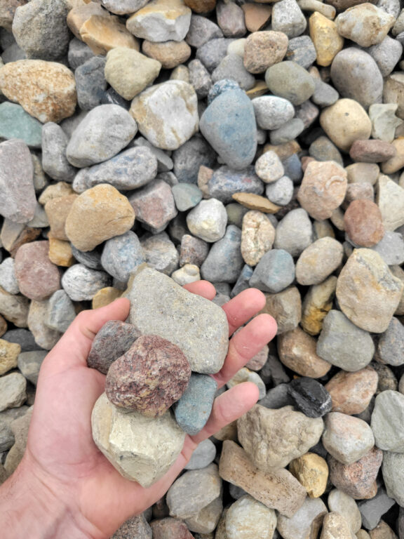 Close up photo of Missouri Rainbow 2" in the palm of a hand for size reference