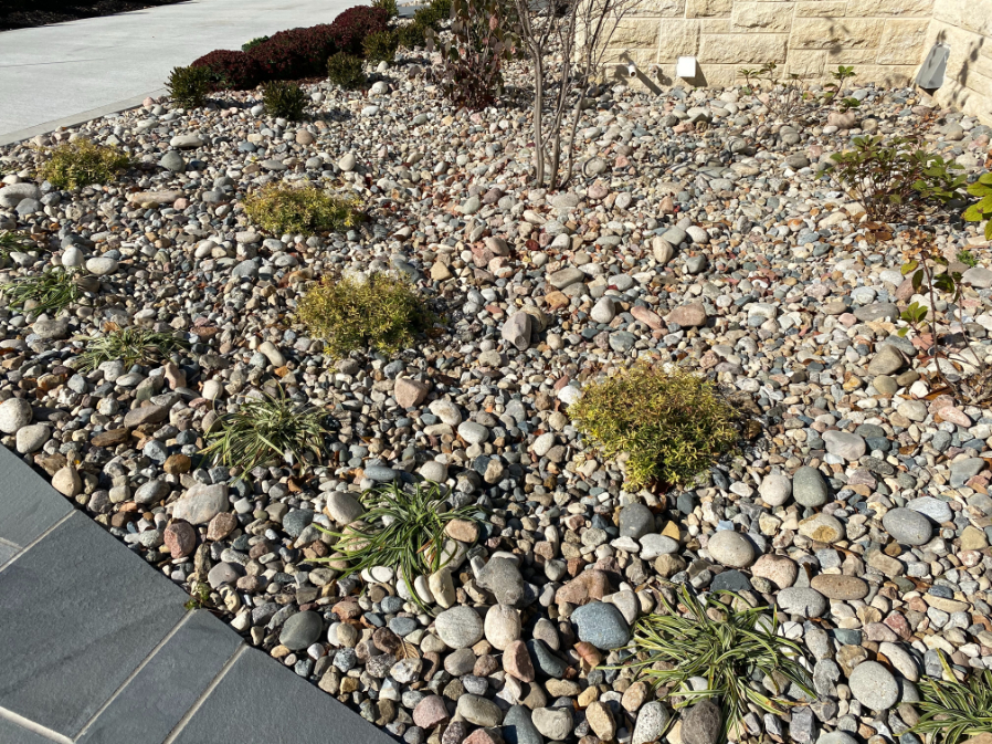 Missouri Rainbow River Rock used in a landscape bed located in Kansas City
