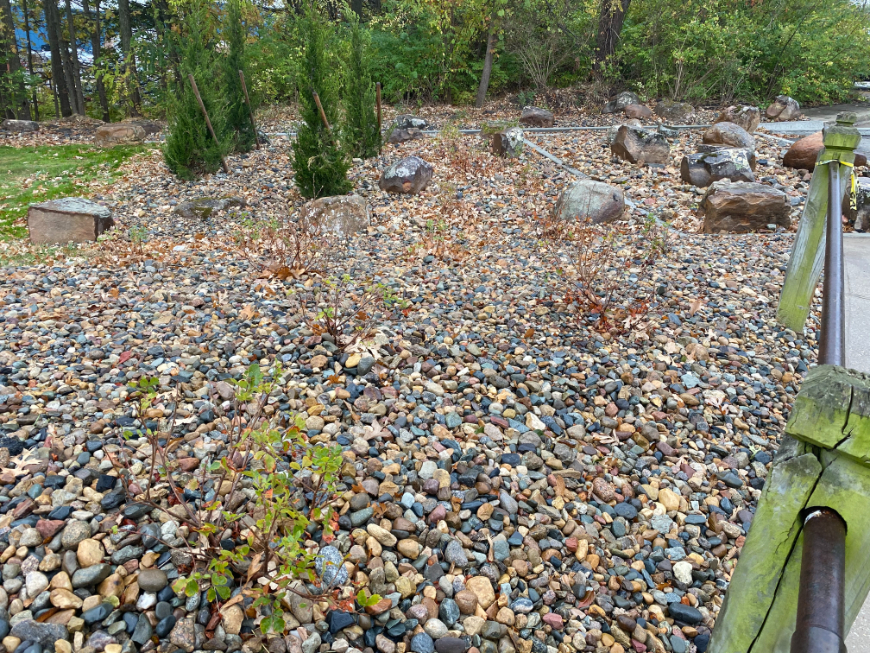 Missouri Rainbow River Rock used in a landscape bed located in Kansas City