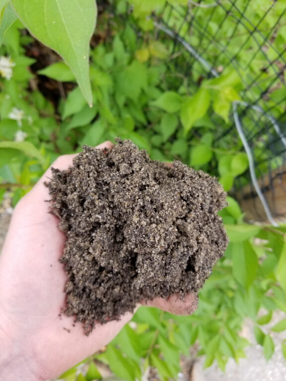 close up photo of top soil in the palm of a hand